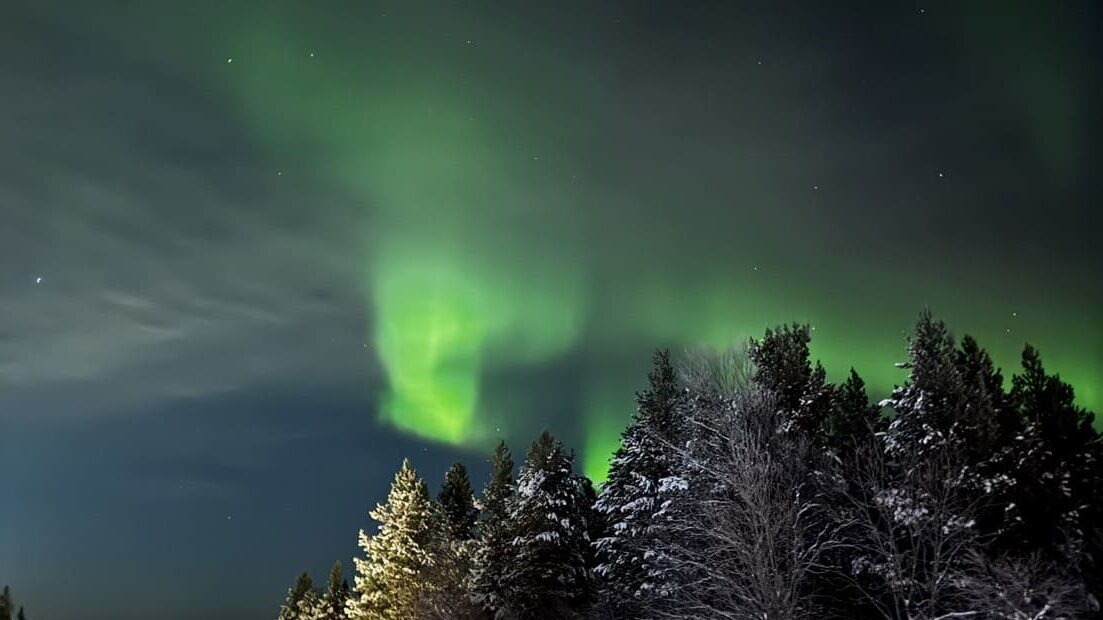 俄羅斯極光綠光閃耀於夜空，冬季雪景與森林相映