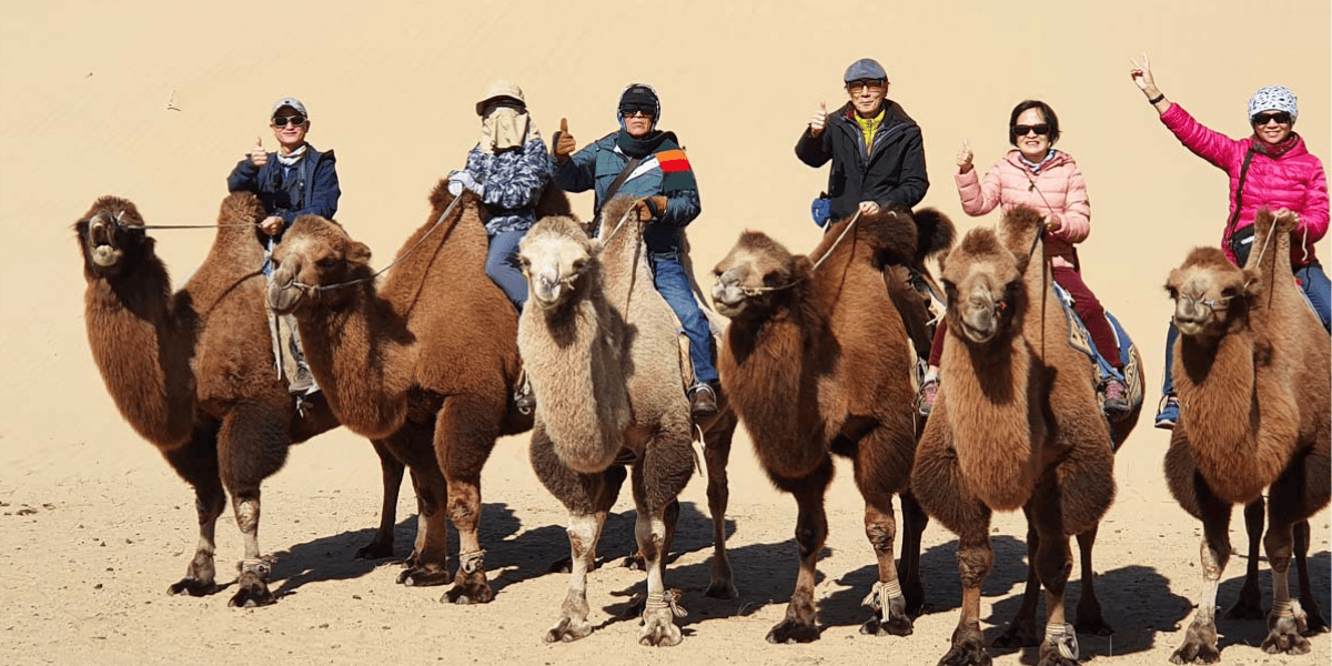 戈壁沙漠騎駱駝體驗30分鐘