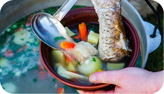 冰上野炊與魚湯