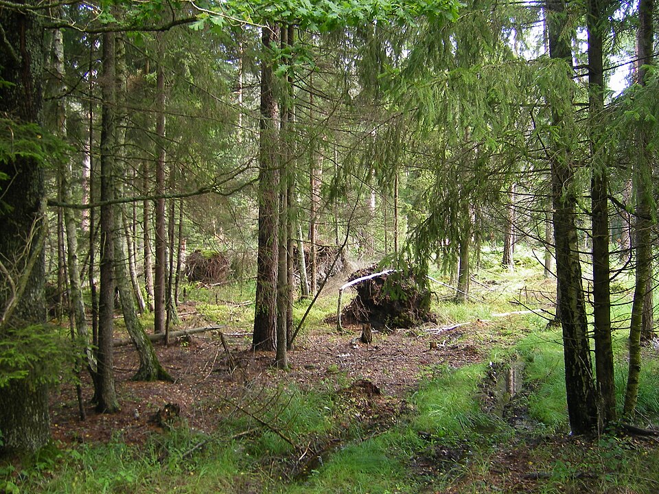 BelarusBNP09